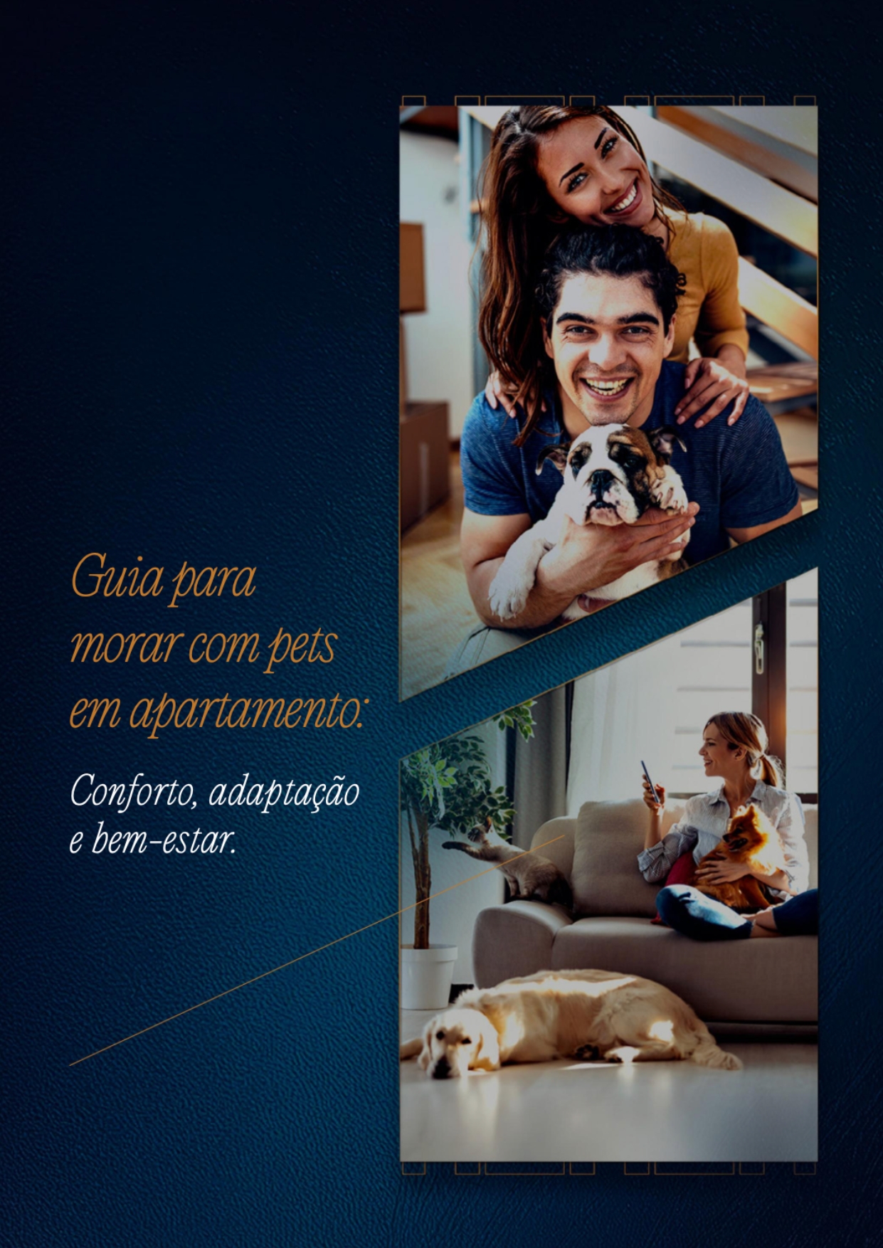 Guia para morar com Pets em apartamento: Conforto, adaptação e bem-estar.