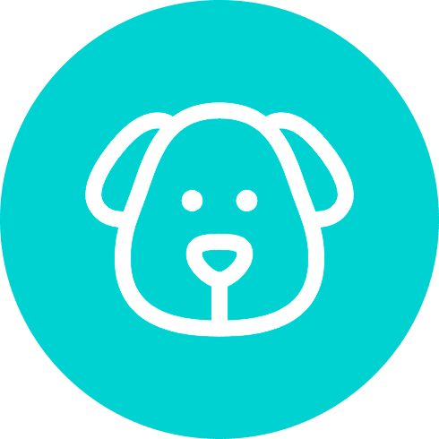 Pet place