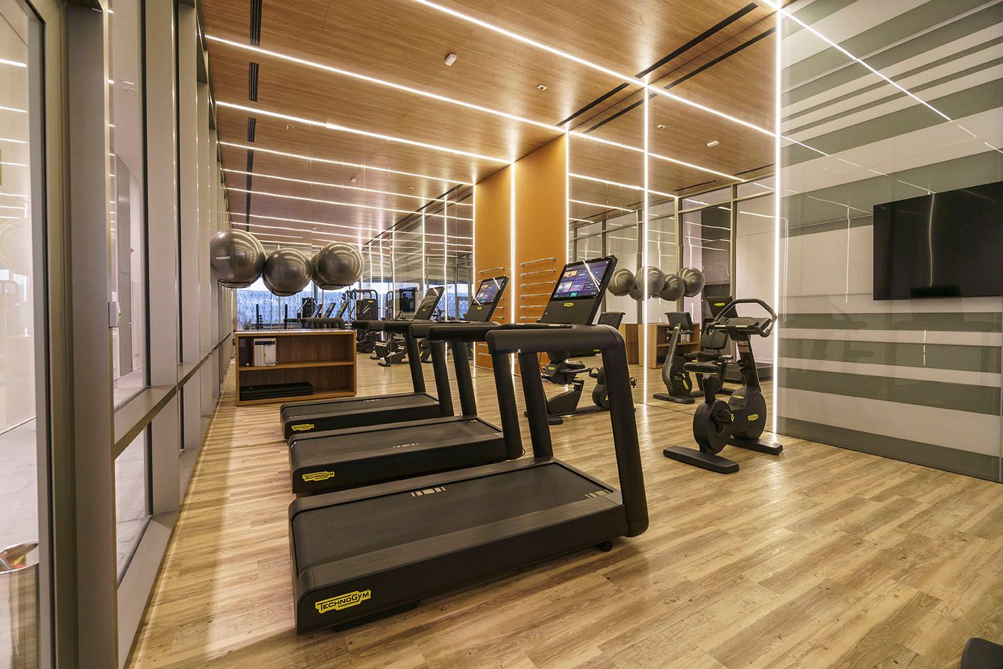 Fitness